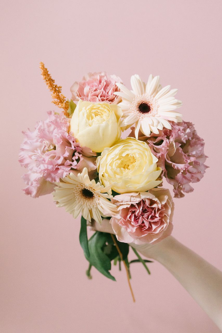 Soft pink, ivory, and yellow garden flowers held against a blush background